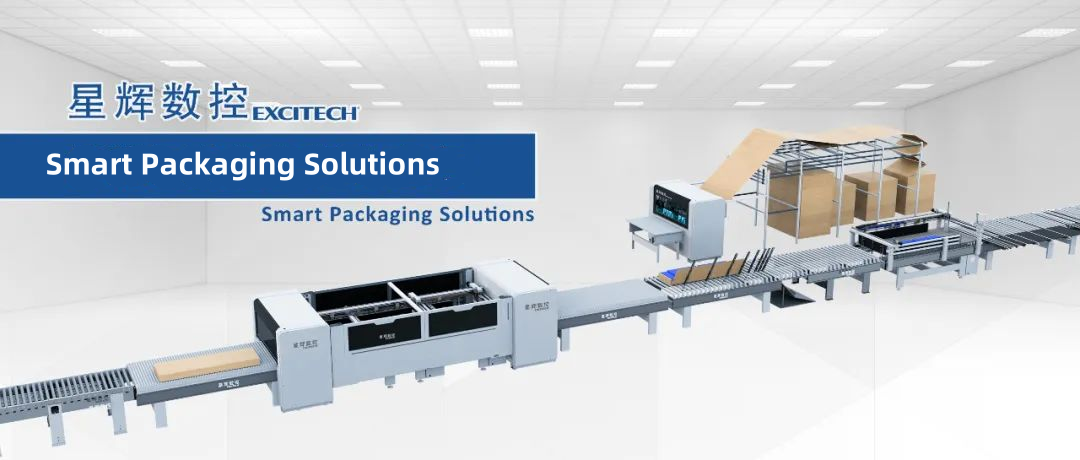 EXCITECH tarafından geliştirilen çok işlevli bir karton paketleme makinesi.
